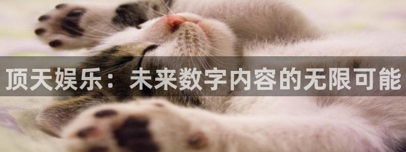 韦德1946娱乐手机版：顶天娱乐：未来数字内容的无限可能