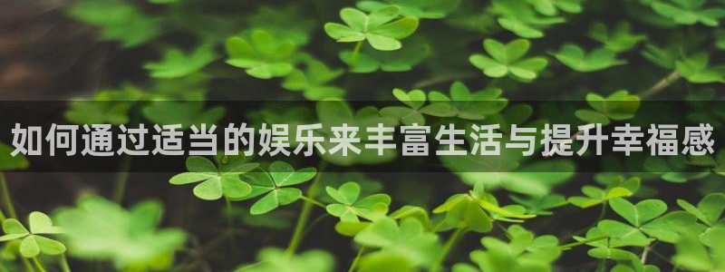 韦德1946bv1946：如何通过适当的娱乐来丰富生活与提升幸福感