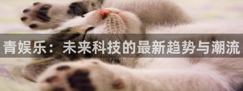 韦德1946网址：青娱乐：未来科技的最新趋势与潮流