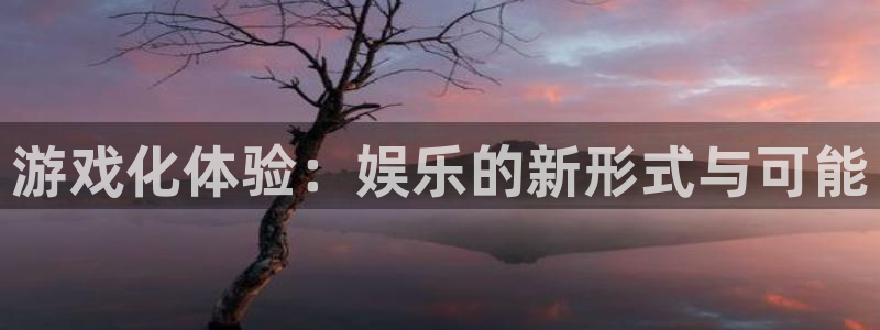 韦德1946体育官方入口：游戏化体验：娱乐的新形式与可能