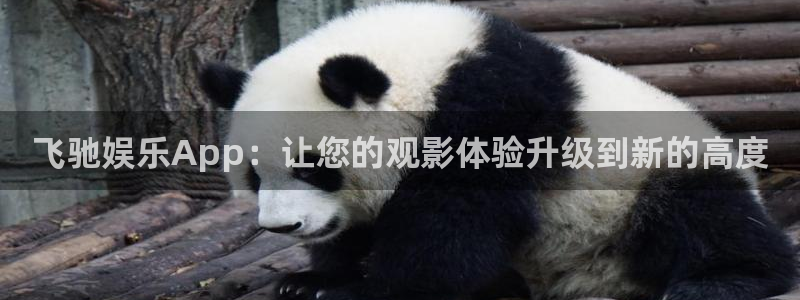 韦德1946源于英国：飞驰娱乐App：让您的观影体验升级到新的高度