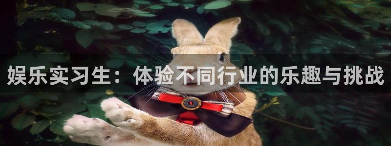 韦德1946体育官方入口：娱乐实习生：体验不同行业的乐趣与挑战