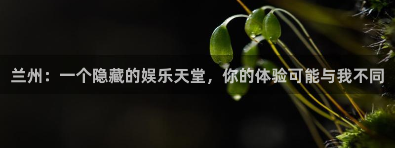 韦德1946：兰州：一个隐藏的娱乐天堂，你的体验可能与我不同