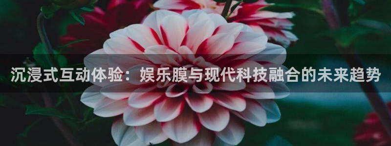 韦德1946体育官方入口：沉浸式互动体验：娱乐膜与现代科技融合的未来趋势