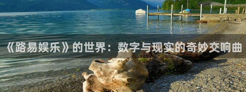 韦德1946体育官方入口：《路易娱乐》的世界：数字与现实的奇妙交响曲