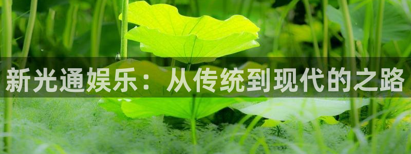 韦德1946bv1946：新光通娱乐：从传统到现代的之路